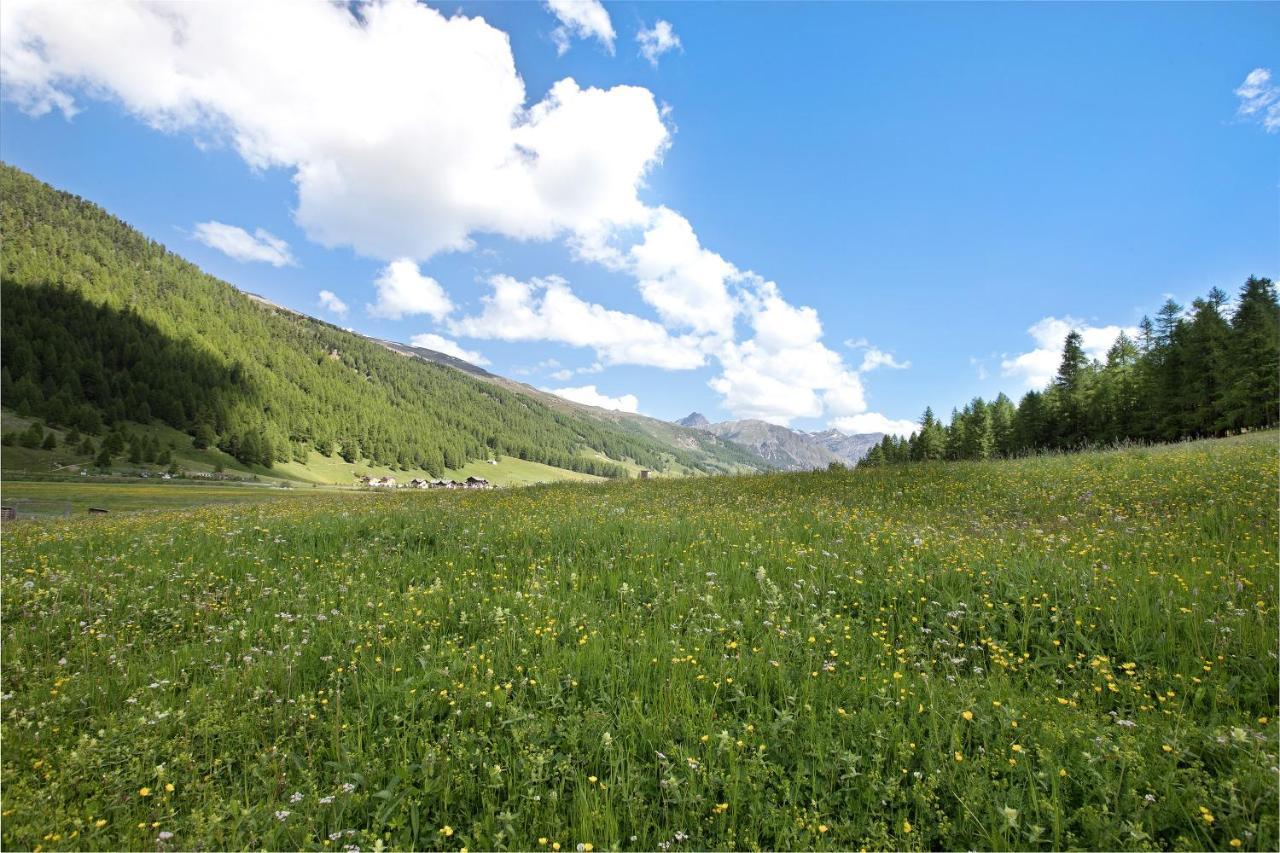 Agriturismo Bosco D'Oro 1 Apartment Livigno Exterior photo